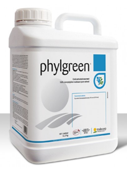 Phylgreen 1 L 