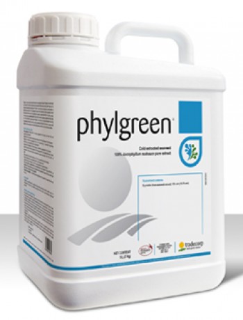Phylgreen 1 L 