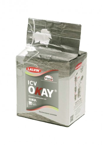 KVASOVKE LALVIN OKAY 500g