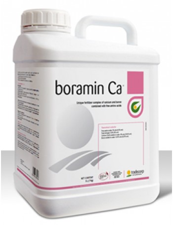 Boramin Ca 1 l
