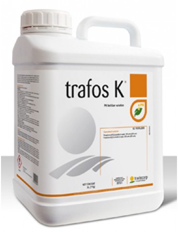 Trafos K 100 ml