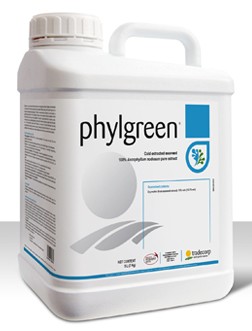 Phylgreen 1 L 