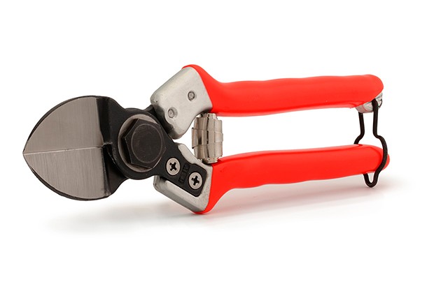 Castellari škarje LADY II