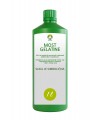 MOST GELATINE 1kg