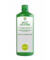 MOST GELATINE 0,5 kg